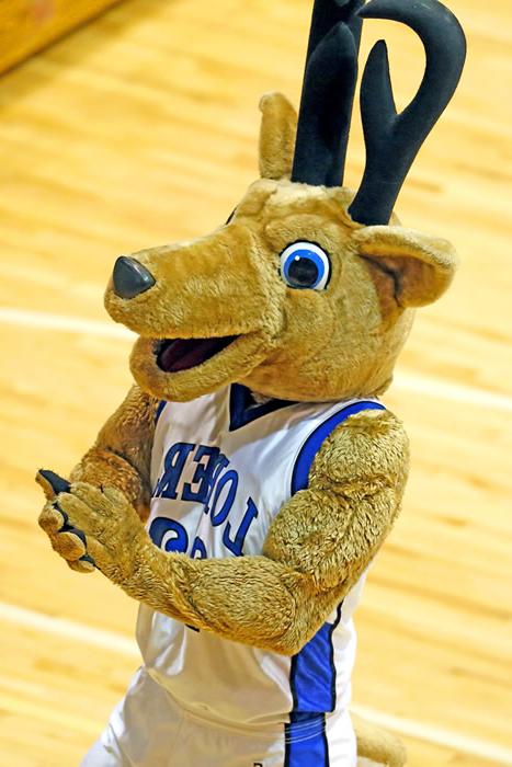 mascot antelope louie clapping