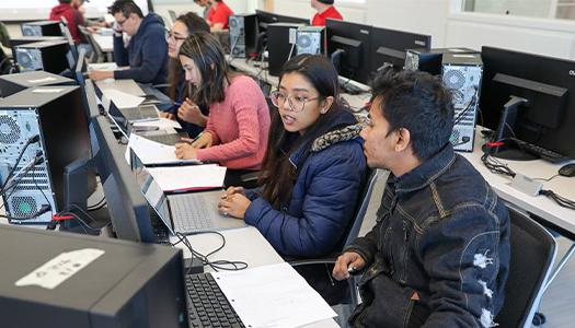 students in an IT class